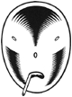 Avatar użytkownika